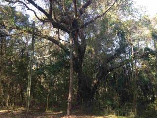 7776 Evening Star Ln, Tallahassee, FL 32312-3555