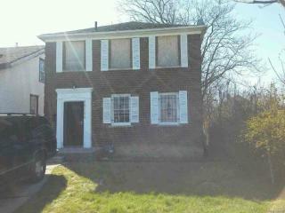 13312 Jane St, Detroit MI  48205-4009 exterior
