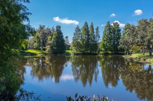 10348 Abbotsford Dr, Tampa FL  33626-1715 exterior