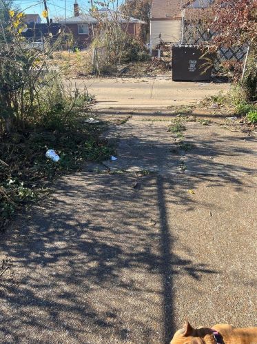 4729 Adkins Ave, Saint Louis MO 63116-2434 exterior