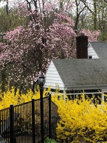 40 Cox Ave, Armonk NY 10504-2016 exterior