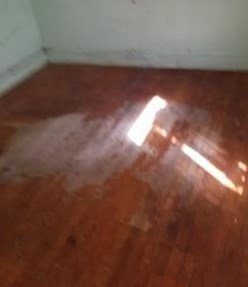 3307 Pensacola Ave, Chicago IL 60618-1208 exterior