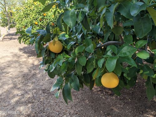 38301 15th Ave, Phoenix AZ 85041-4712 exterior