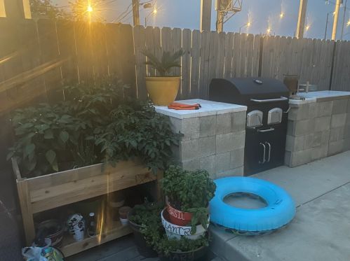 3511 Lowe Ave, Chicago IL 60628-7036 exterior