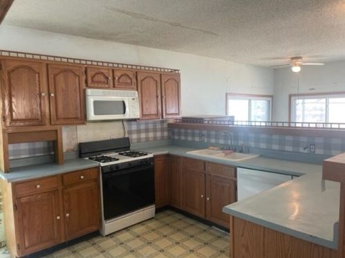 7110 Larned Dr, Belding, MI 48809-9374