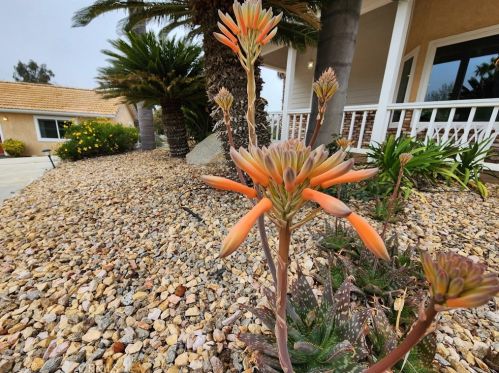 37200 Glenoaks Rd, Temecula CA 92592-8534 exterior