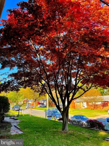 9711 Hedin Dr, Silver Spring, MD 20903-1805