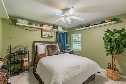 11506 Louvre Pl, Tampa FL 33617-2447 exterior