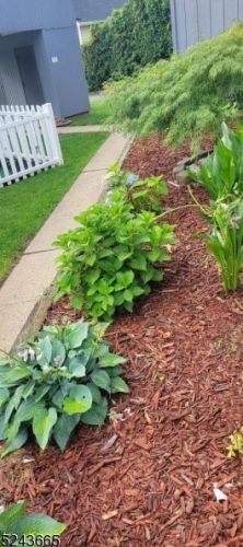 684 Irvington Ave, Maplewood NJ 07040-1623 exterior