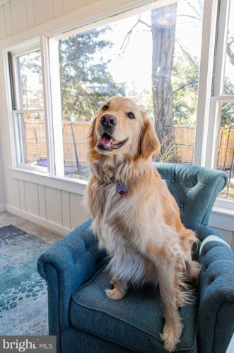 9607 Hastings Dr, Silver Spring MD 20901-3198 exterior