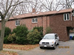 29 Louise Rd, Boston, MA