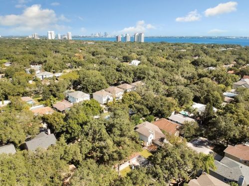 3125 Oakellar Ave, Tampa, FL 33611-2918