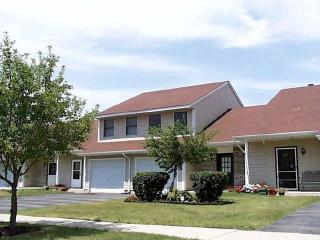 826 Terrace Lake Dr, Aurora IL  60504-8949 exterior