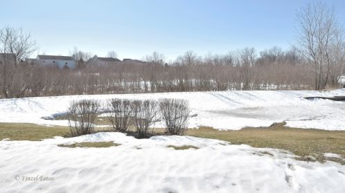 1216 Walnut Glen Dr, Bull Valley, IL 60014-6843