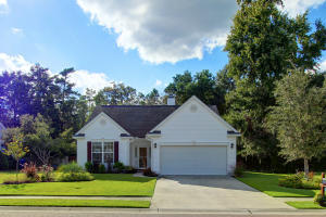 417 Cabrill Dr, Charleston, SC 29414-9019