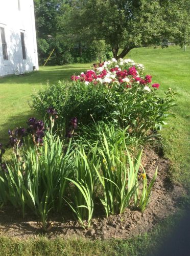 900 Woodward Ave, Big Rapids MI 49307-9201 exterior