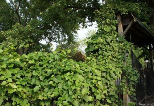 3322 Emmons Ave, Rochester MI 48307-5515 exterior