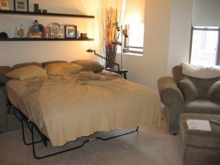 3 Royce Rd, Boston MA  02134 exterior