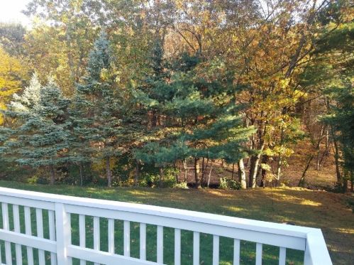 203 Murphy Ln, Chicopee MA 01020-4837 exterior