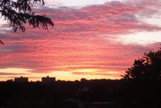 1212 12th St, Omaha NE  68108-3218 exterior