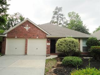 15 Camber Pine Pl, Spring TX  77382-5011 exterior