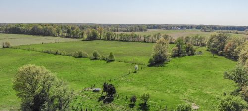 50002 M 51, Dowagiac MI 49047-9631 exterior