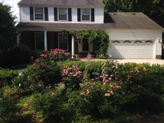 6445 Linway Ter, Mc Lean VA  22101-4111 exterior