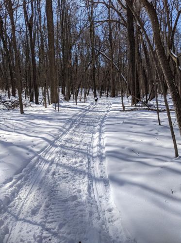 3763 2 St, Kalamazoo MI 49009-9319 exterior