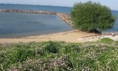 3862 Lake Dr, Milwaukee WI 53211-2446 exterior