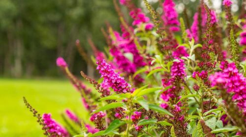 572 Spring Cave Rd, Spring Bluff MO exterior