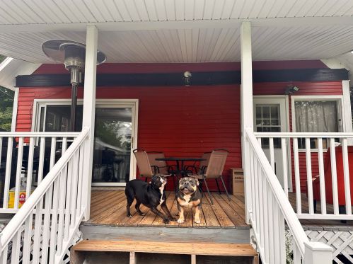 343 Todd Ave, Reed City MI 49677-1241 exterior