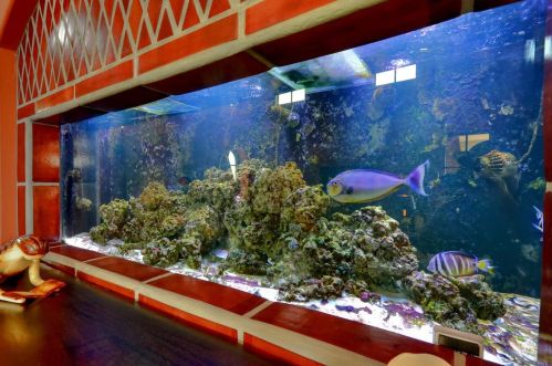 3268 Bordeaux Dr, Folsom CA 95762-3982 exterior