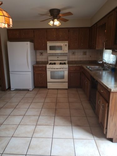 10109 Springfield Ave, Chicago, IL 60655-3753