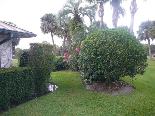 4336 Gator Trce Cir, Fort Pierce FL 34982-6803 exterior