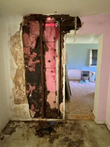 4517 Hamilton Ave, Saint Louis MO 63136-3610 exterior