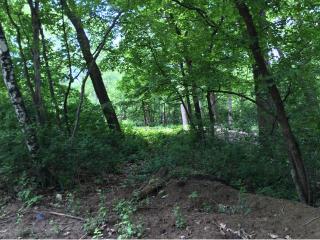 2300 Essex Rd, Hopkins, MN 55305-2253