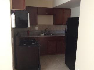 728 Parkside Ave, Chicago IL  60644-1100 exterior