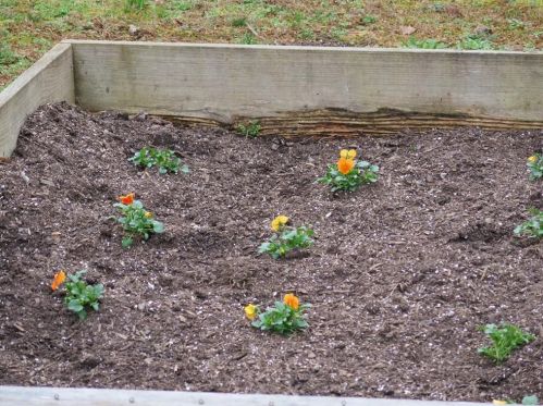 5548 Checkered Spot Dr, Gainesville GA 30506-7336 exterior