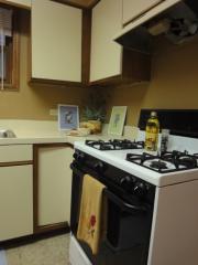 3632 Normal Ave, Chicago IL  60609-1722 exterior