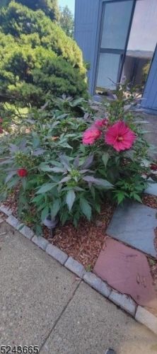 684 Irvington Ave, Maplewood NJ 07040-1623 exterior