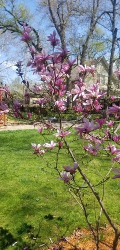 1745 102 St, Chicago IL 60643-2027 exterior