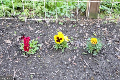 914 Mifflin St, Huntingdon PA 16652-1522 exterior