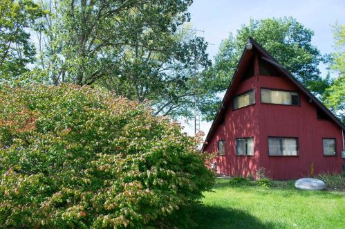 50184 Lake Shore Dr, Dowagiac MI  49047-8741 exterior