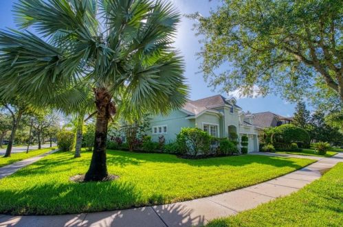 14643 Chatsworth Manor Cir, Tampa, FL 33626-3304