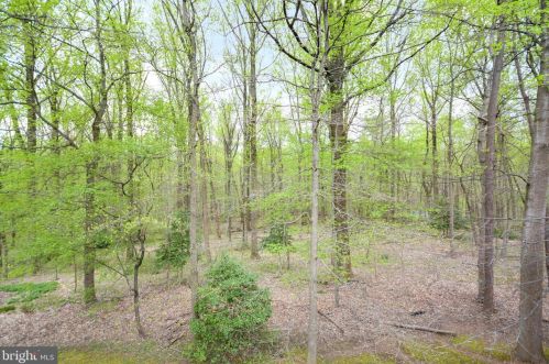 16 Arlive Ct, Rockville MD 20854-2978 exterior