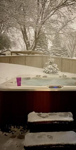 7685 Bowman Ct, South Saint Paul MN exterior