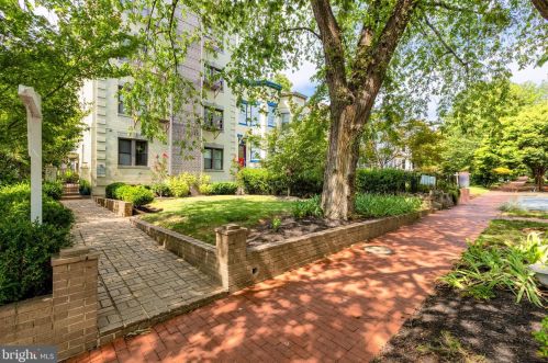 116 Carolina Ave, Washington DC  20003-1829 exterior