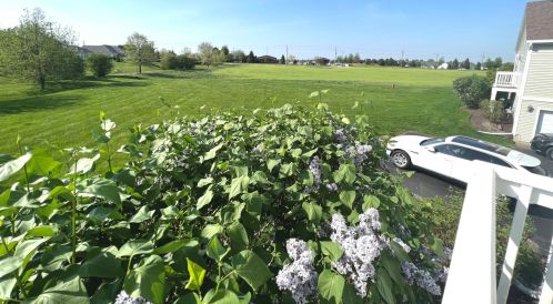 1750 Fieldstone Dr, Joliet IL 60404-8111 exterior