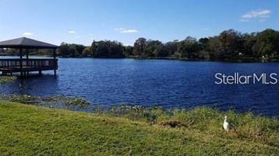 7009 Waterside Dr, Tampa FL 33617-7362 exterior