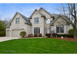 2600 Ginger Woods Dr, Aurora IL  60502-7419 exterior